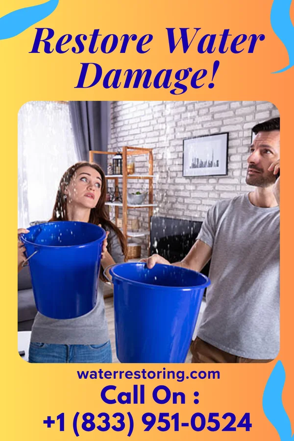 water restoration Quality Damage Restoration Professionals Elmwood Place