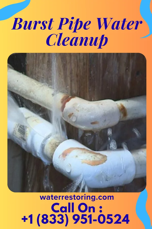 Burst Pipe Water Cleanup in Elmwood Place, OH