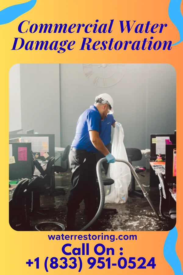 Commercial Water Damage Restoration in Elmwood Place, OH