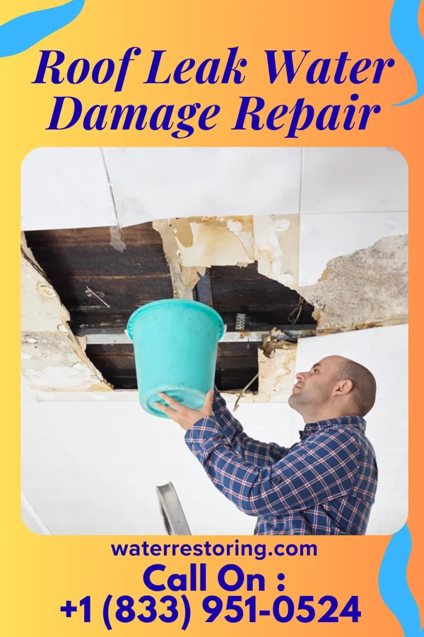 Roof Leak Water Damage Repair in Elmwood Place, OH