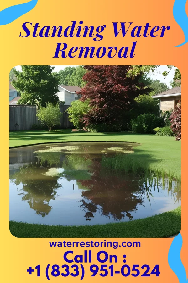 Standing Water Removal in Elmwood Place, OH